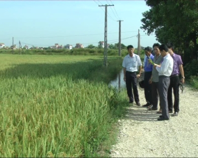 Nam Định thực chuyển dịch cơ cấu kinh tế nông nghiệp.