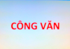 CÔNG VĂN SỐ 417/CV-PTTH