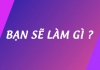 Bạn sẽ làm gì  09/02/2025