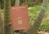 PHỐ NÚI