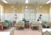 Sức khỏe & Cuộc sống  12/5/2025