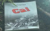 Cai