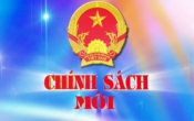 Chính sách mới: Luật Phòng, chống tham nhũng 2018, số 36/2018/QH14 ( Số 11 )