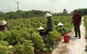 Chuyển động nông thôn (14/12/2020)