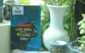 Con mèo giữa đám bồ câu