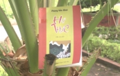 Hư thực