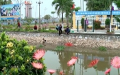 Huyện Hải Hậu Nam Định, Ấn tượng một miền quê