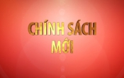 Nghị định số 76/2023/NĐ-CP, quy định chi tiết một số điều của Luật Phòng, chống bạo lực gia đình ( Số 06 )