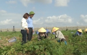 Nhịp cầu nhà nông 02/8/2024