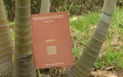 PHỐ NÚI