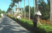 Phụ nữ Việt ( 01/12/2021 )
