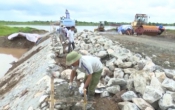 PS TRỰC NINH - Lan tỏa sức dân trong xây dựng nông thôn mới