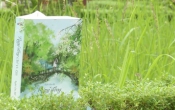 Rung động chỉ vì em