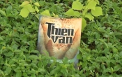 Thiên văn