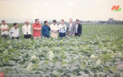 Thời sự Tối NinhBinhTV - 13/7/2025