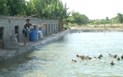 Vùng biển quê tôi 27/01/2025