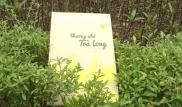 Thương nhớ Trà Long