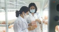 Ứng dụng KHCN trong sản xuất