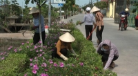 Phụ nữ Nam Định chung sức bảo vệ môi trường xây dựng nông thôn mới