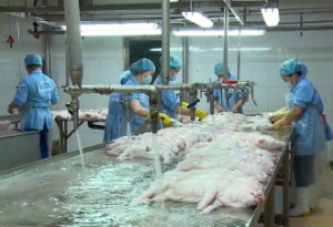 Tái cơ cấu nông nghiệp