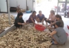Chuyển động nông thôn  25/6/2025