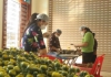 Sở hữu trí tuệ & Đổi mới sáng tạo  14/5/2025
