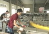 Thời sự truyền hình tối ngày 23/03/2020
