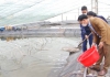 Thời tiết nông vụ  23/6/2025