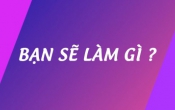 Bạn sẽ làm gì  09/02/2025