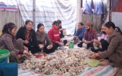 Chuyển động nông thôn  07/4/2025
