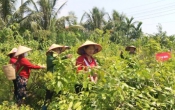 Chuyển động nông thôn  23/12/2024