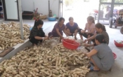Chuyển động nông thôn  25/6/2025