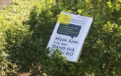 Hình ảnh của bạn đáng giá triệu đô