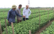 Khởi nghiệp  27/5/2025