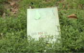 NẾU TÔI LÀ ĐÀN BÀ