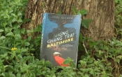 NHỮNG CHÀNG TRAI BALTIMORE
