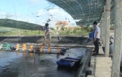 Thời tiết nông vụ  02/6/2025