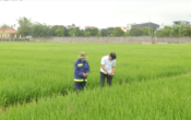 Thời tiết nông vụ  05/5/2025