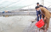 Thời tiết nông vụ  23/6/2025
