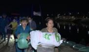 Phòng chống bão ở Mỹ Tân