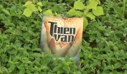 Thiên văn