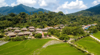Cây đa Tân Trào - Tiếng vọng từ quá khứ tới tương lai