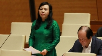 'Chạy' bệnh án tâm thần để thoát tội không dễ!