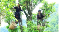Sản xuất hữu cơ góp phần nâng cao vị thế nông nghiệp Việt Nam